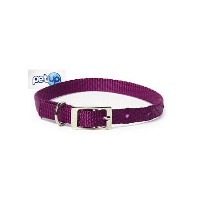 Petup Collare Nylon Viola 12 x 380 mm 