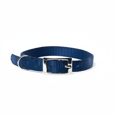 Petup Collare nylon 15 x 450 mm blu